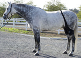 Ice Horse Stifle Wrap