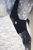 Ice Horse Stifle Wrap